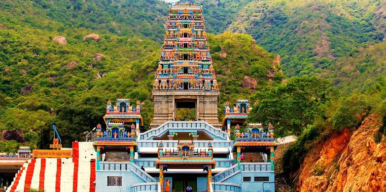 WhatsApp Image 2025-07-18 at 1.03.57 PM